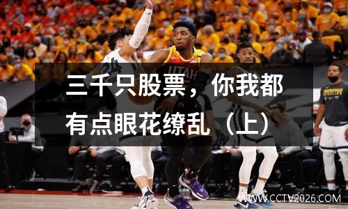 三千只股票，你我都有点眼花缭乱（上）
