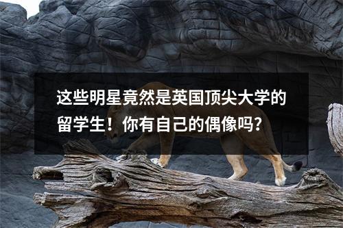 这些明星竟然是英国顶尖大学的留学生！你有自己的偶像吗？