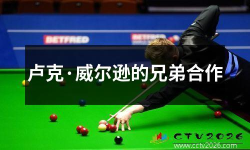 卢克·威尔逊的兄弟合作