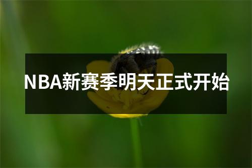 NBA新赛季明天正式开始