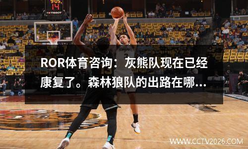 ROR体育咨询：灰熊队现在已经康复了。森林狼队的出路在哪里？