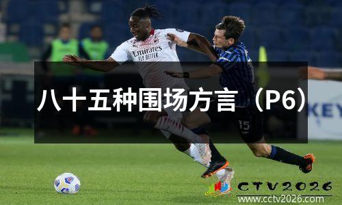 八十五种围场方言（P6）