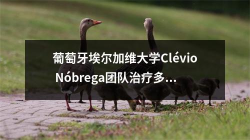 葡萄牙埃尔加维大学Clévio Nóbrega团队治疗多聚谷氨酰胺疾病的靶点：Ras GTPase激活蛋白结合蛋白1