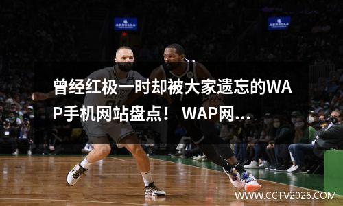 曾经红极一时却被大家遗忘的WAP手机网站盘点！ WAP网站排名榜
