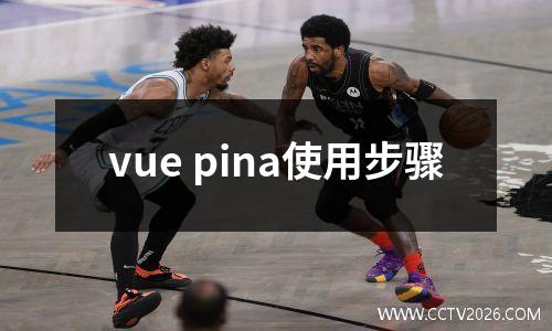 vue pina使用步骤