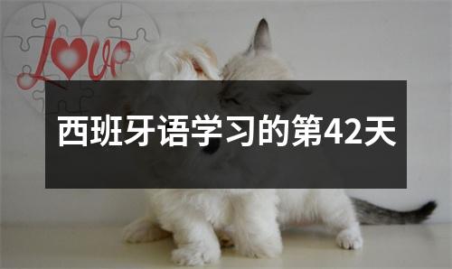 西班牙语学习的第42天