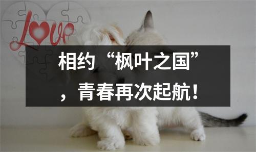 相约“枫叶之国”，青春再次起航！