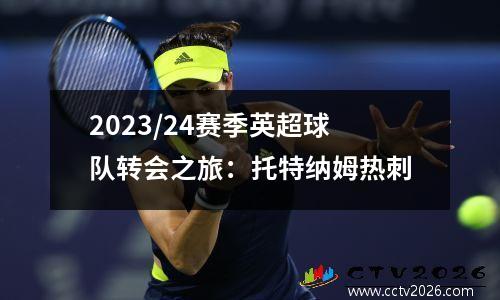 2023/24赛季英超球队转会之旅：托特纳姆热刺