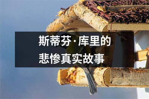 斯蒂芬·库里的悲惨真实故事