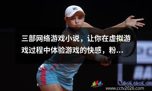 三部网络游戏小说，让你在虚拟游戏过程中体验游戏的快感，粉丝们不容错过！