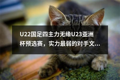 U22国足四主力无缘U23亚洲杯预选赛，实力最弱的对手文莱或将退出比赛
