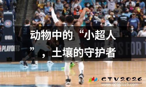 动物中的“小超人”，土壤的守护者