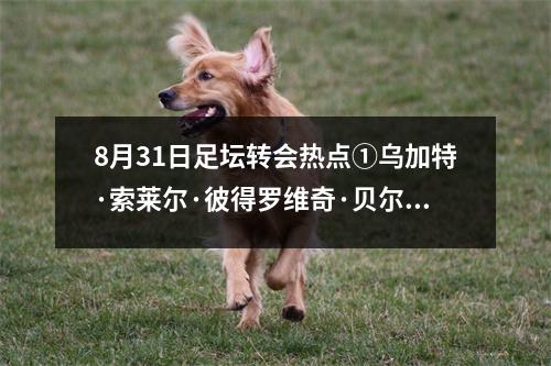 8月31日足坛转会热点①乌加特·索莱尔·彼得罗维奇·贝尔纳特·安德烈