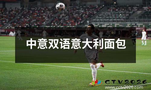 中意双语意大利面包