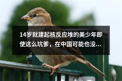 14岁就建起核反应堆的美少年即使这么坑爹，在中国可能也没什么用。