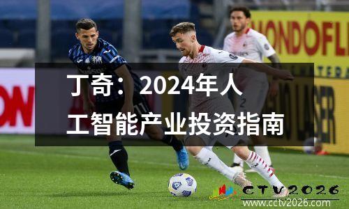 丁奇：2024年人工智能产业投资指南