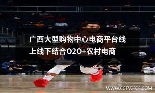 广西大型购物中心电商平台线上线下结合O2O+农村电商