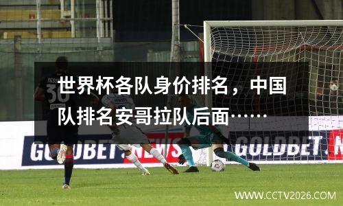 世界杯各队身价排名，中国队排名安哥拉队后面……