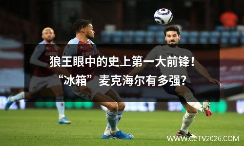 狼王眼中的史上第一大前锋！ “冰箱”麦克海尔有多强？