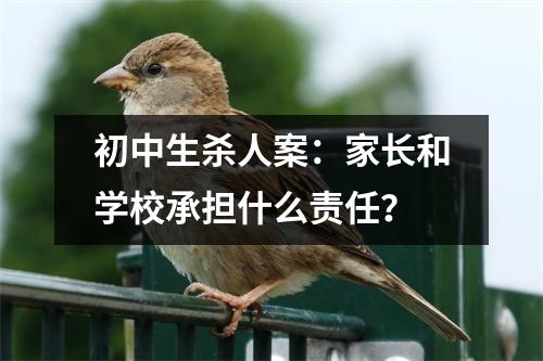 初中生杀人案：家长和学校承担什么责任？