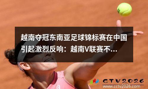 越南夺冠东南亚足球锦标赛在中国引起激烈反响：越南V联赛不如中超