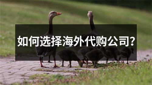 如何选择海外代购公司？