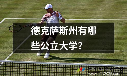 德克萨斯州有哪些公立大学？