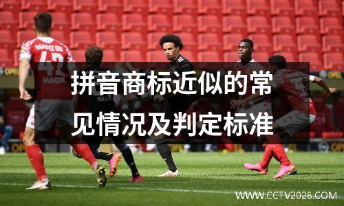 拼音商标近似的常见情况及判定标准