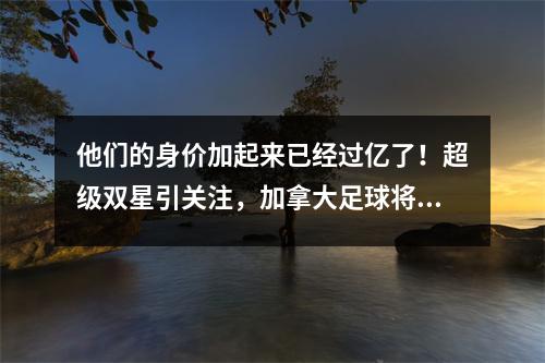 他们的身价加起来已经过亿了！超级双星引关注，加拿大足球将迎来“黄金时代”？