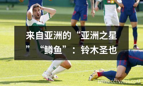 来自亚洲的“亚洲之星”“鳟鱼”：铃木圣也