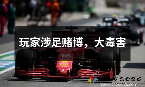 玩家涉足赌博，大毒害