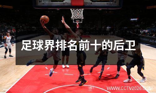 足球界排名前十的后卫