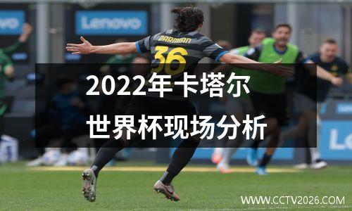 2022年卡塔尔世界杯现场分析
