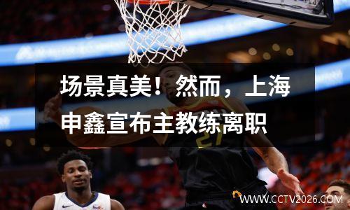 场景真美！然而，上海申鑫宣布主教练离职
