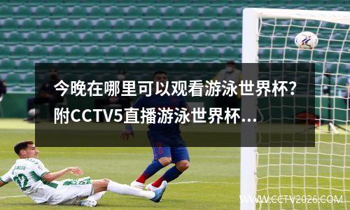 今晚在哪里可以观看游泳世界杯？附CCTV5直播游泳世界杯赛程表