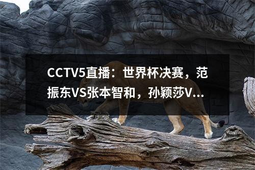 CCTV5直播：世界杯决赛，范振东VS张本智和，孙颖莎VS王艺迪