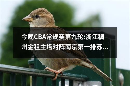 今晚CBA常规赛第九轮:浙江稠州金租主场对阵南京第一排苏久前瞻及预测