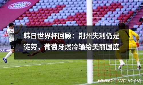 韩日世界杯回顾：荆州失利仍是徒劳，葡萄牙爆冷输给美丽国度
