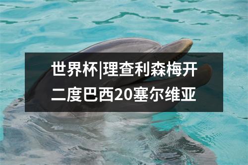 世界杯|理查利森梅开二度巴西20塞尔维亚