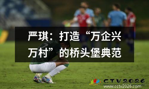 严琪：打造“万企兴万村”的桥头堡典范