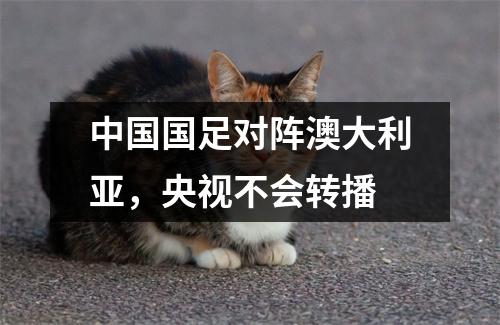 中国国足对阵澳大利亚，央视不会转播