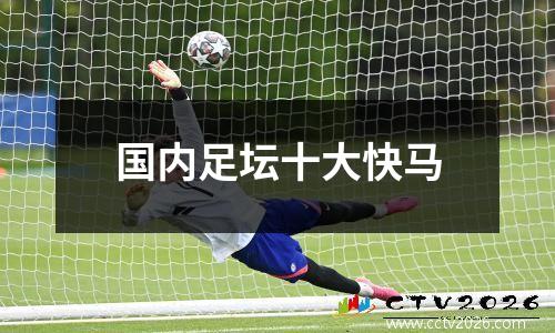 国内足坛十大快马