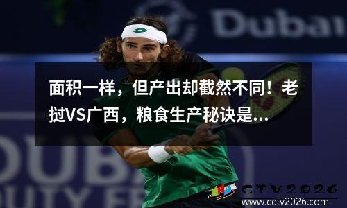 面积一样，但产出却截然不同！老挝VS广西，粮食生产秘诀是什么？