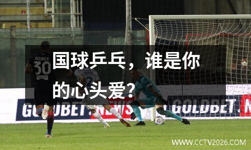 国球乒乓，谁是你的心头爱？