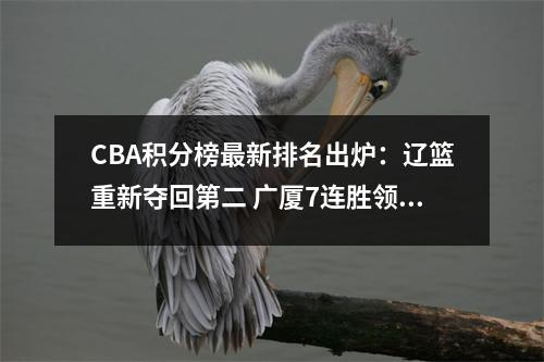 CBA积分榜最新排名出炉：辽篮重新夺回第二 广厦7连胜领跑全联盟