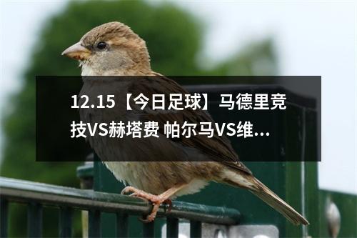 12.15【今日足球】马德里竞技VS赫塔费 帕尔马VS维罗纳 科隆VS 纽伦