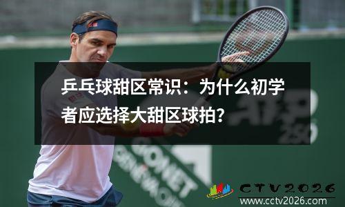 乒乓球甜区常识：为什么初学者应选择大甜区球拍？