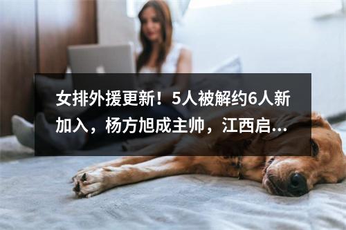 女排外援更新！5人被解约6人新加入，杨方旭成主帅，江西启动换帅