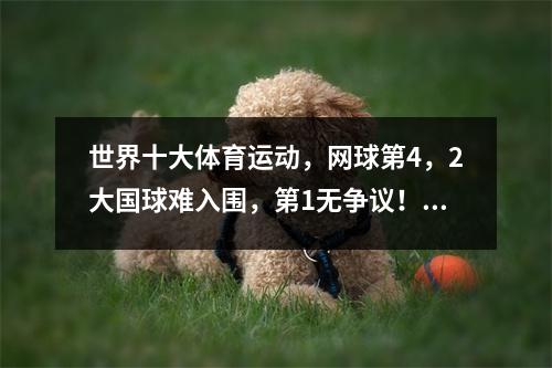 世界十大体育运动，网球第4，2大国球难入围，第1无争议！