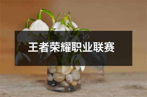 王者荣耀职业联赛